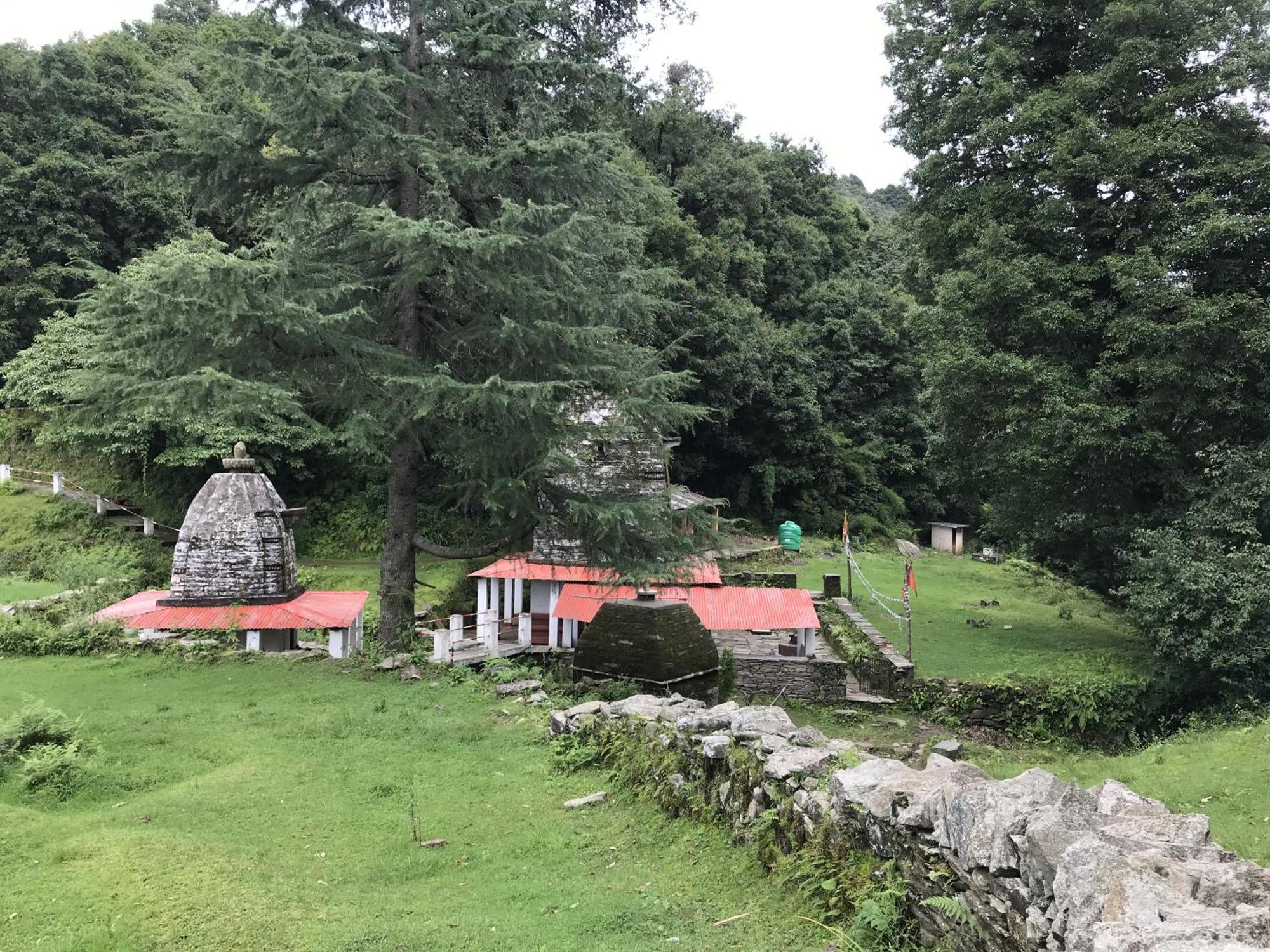 Simba Jungle Lodge, Binsar Wildlife Sanctuary Exterior foto